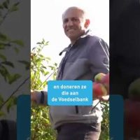 De Laatste Pluk
