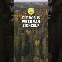 Bos dat van zichzelf is