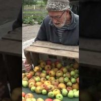 Het sapfabriekje van De Sappers