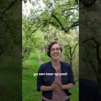 Plukkaart van Nijmegen