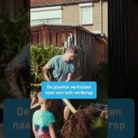 Red het groen van de sloop