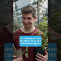 Het plantenasiel