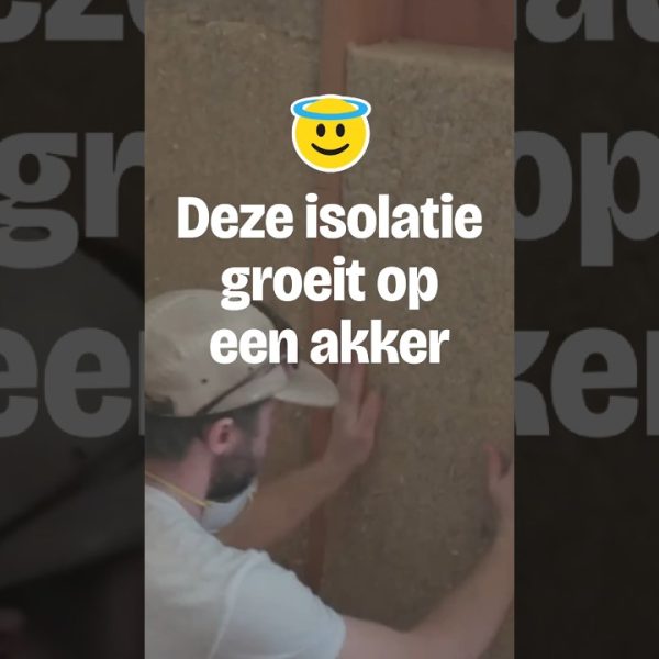 GreenInclusive