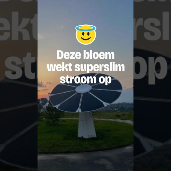 De Ecoplant